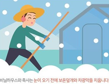 비닐하우스와 축사는 눈이 오기 전에 보온덮개와 차량막을 치웁니다.